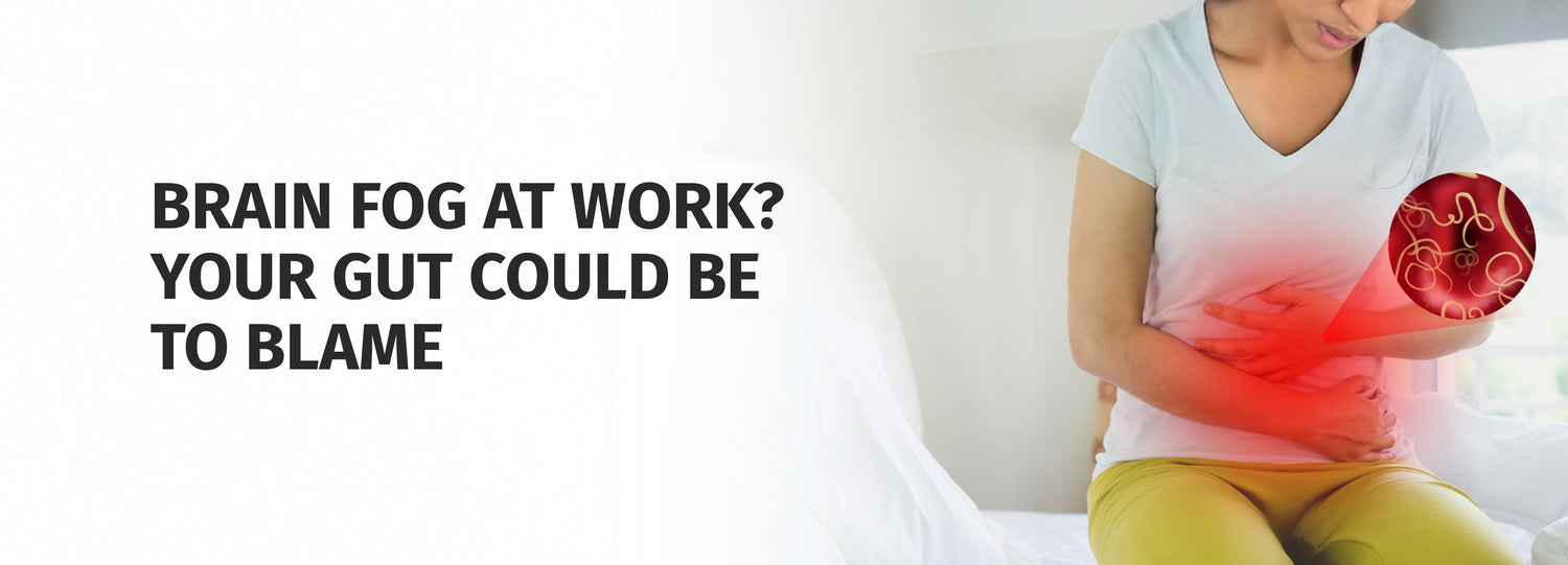 Brain Fog at Work? Your Gut Could Be To Blame