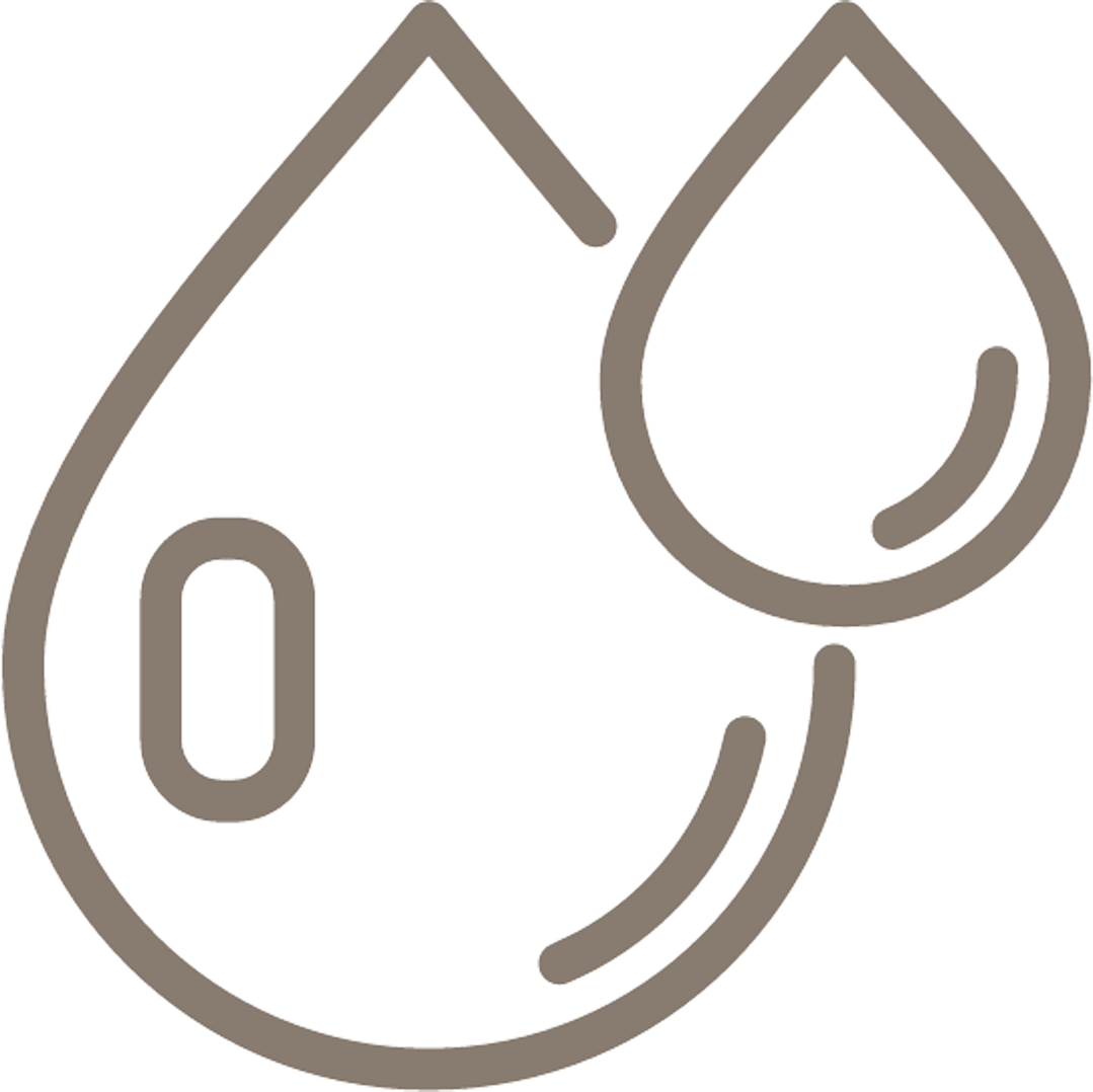 Icon 1