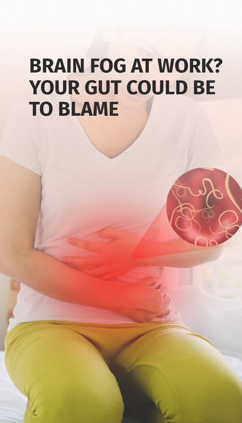 Brain Fog at Work? Your Gut Could Be To Blame - Mobile
