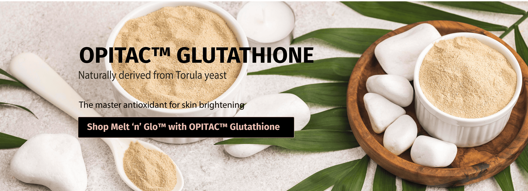 torula yeast glutathione Toravita 054 | Lallemand Bio-Ingredients My Best Life: Science-Driven Health